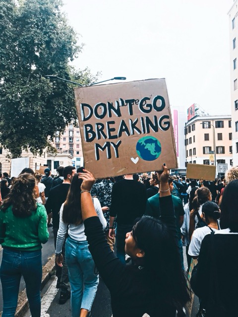 Protest Example Image 2