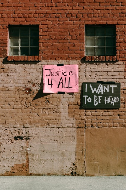 Protest Example Image 3